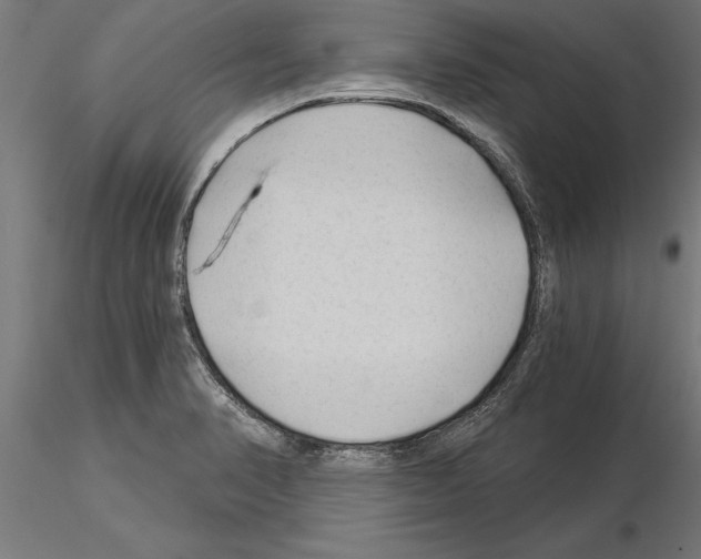 X0000115261374200912111130