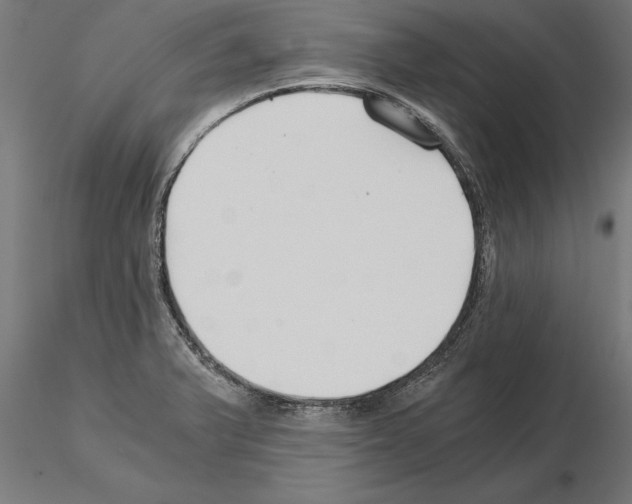 X0000115261375200912111130