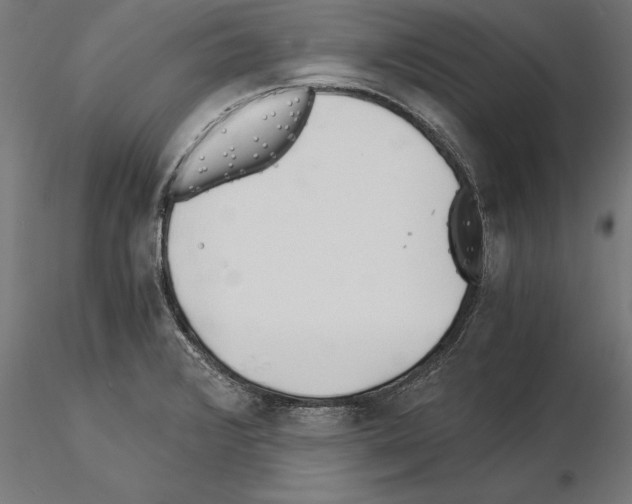 X0000115261376200912111130