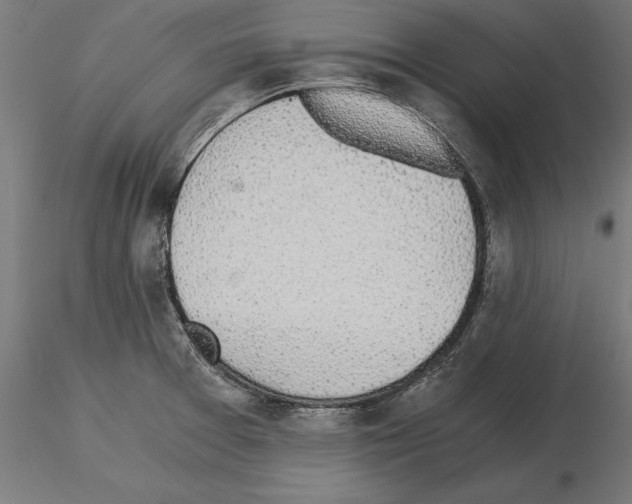 X0000115261377200912111130