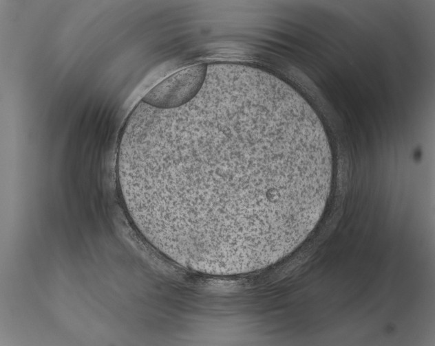 X0000115261378200912111130