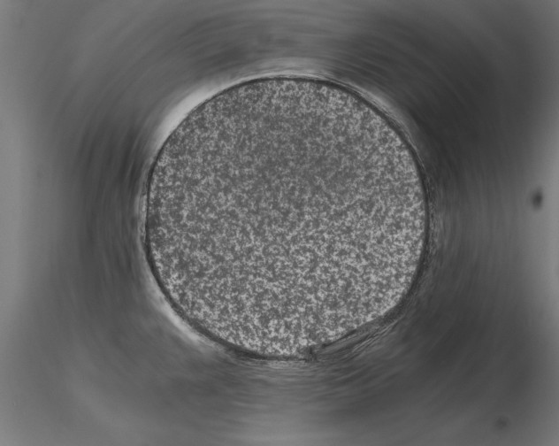 X0000115261383200912111130