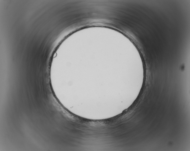 X0000115261384200912111130