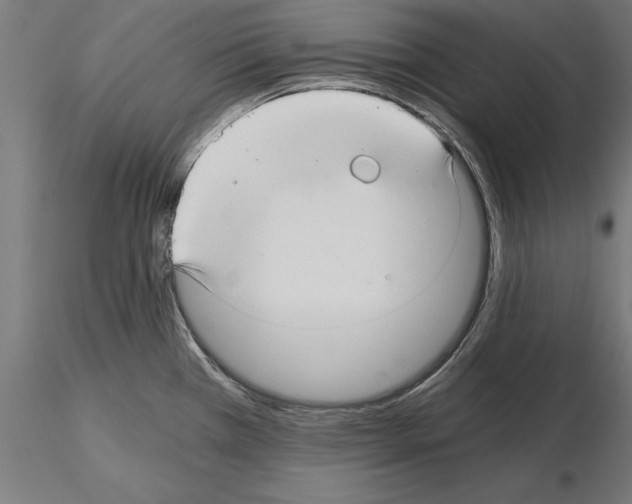 X0000115261385200912111130