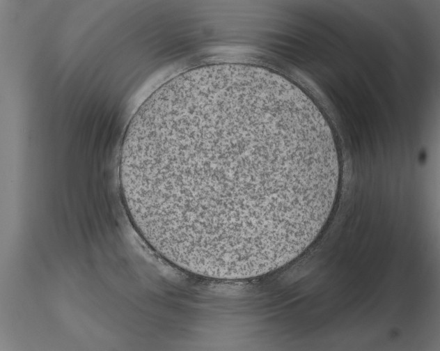 X0000115261386200912111130