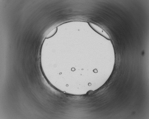 X0000115261387200912111130