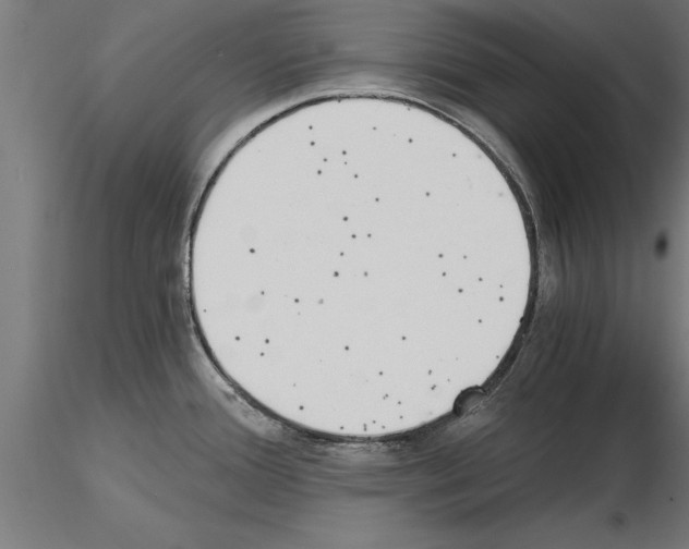 X0000115261388200912111130