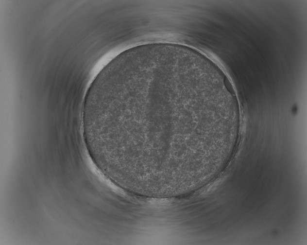 X0000115261389200912111130