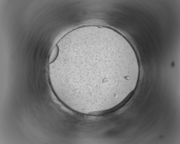 X0000115261390200912111130