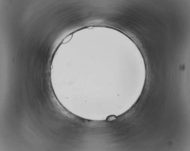 X0000115261392200912111130