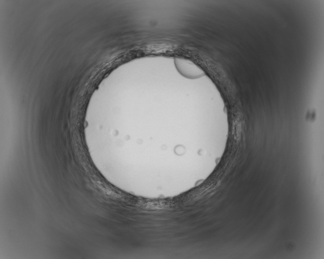 X0000115261393200912111129