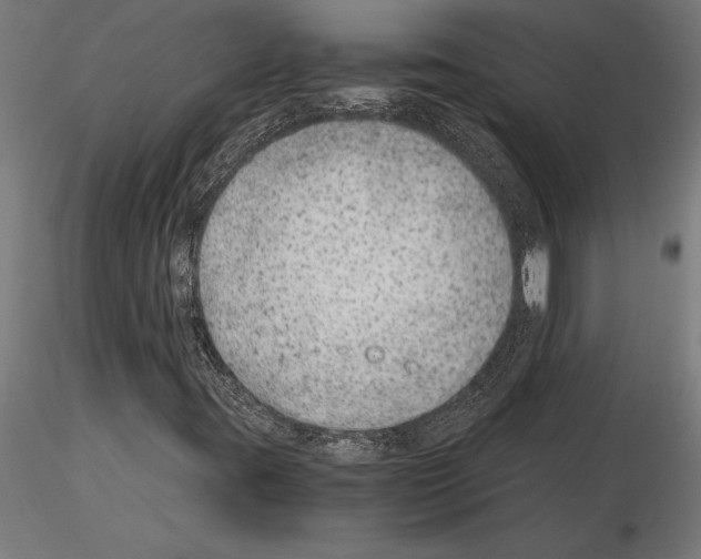 X0000115261395200912111129