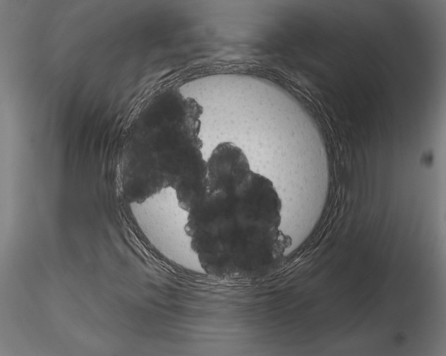 X0000115261396200912111129