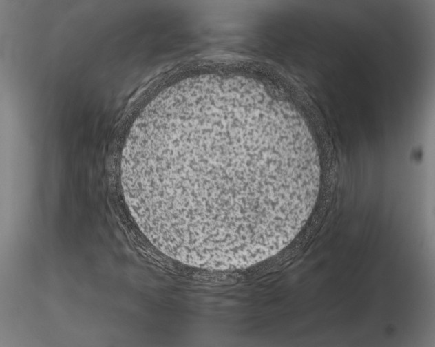 X0000115261397200912111129