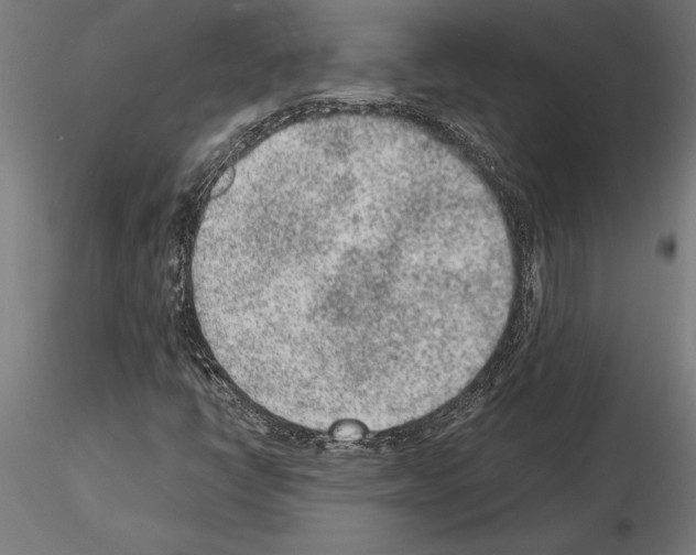 X0000115261398200912111129