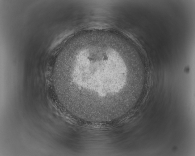 X0000115261399200912111129