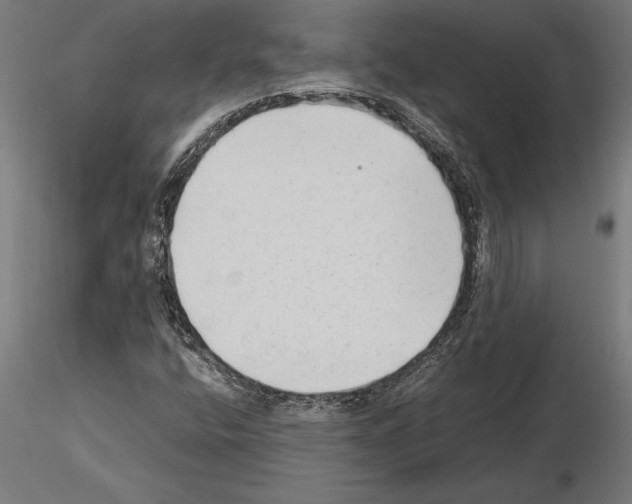 X0000115261400200912111129