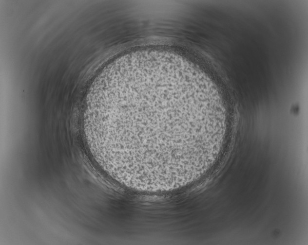 X0000115261401200912111129