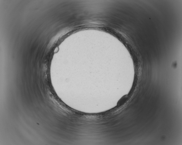 X0000115261402200912111129