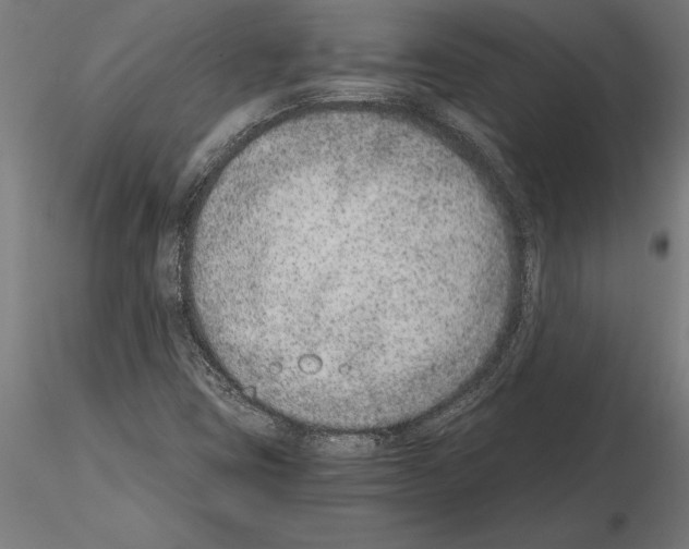 X0000115261403200912111129