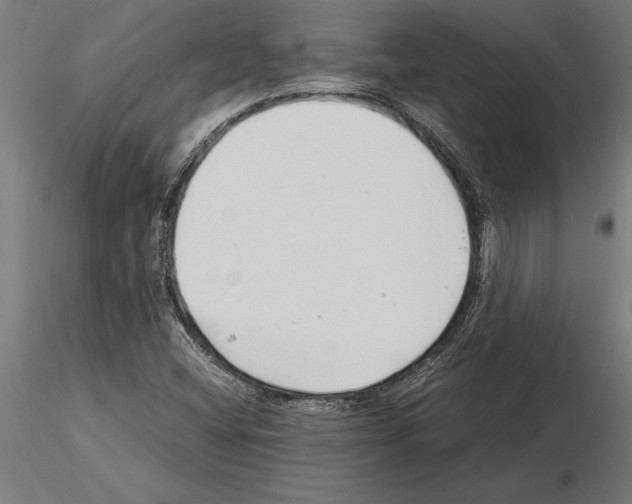 X0000115261404200912111129