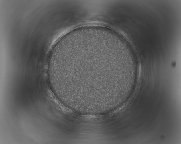 X0000115261405200912111129