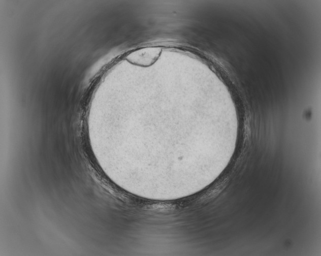 X0000115261406200912111129