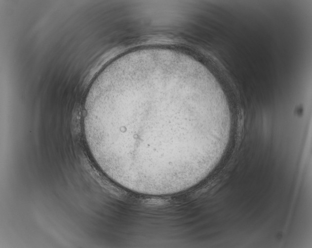 X0000115261409200912111129