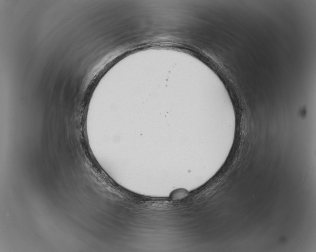 X0000115261410200912111129