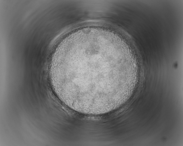 X0000115261411200912111129