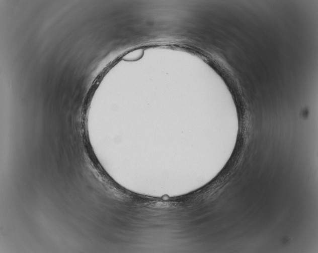 X0000115261412200912111129