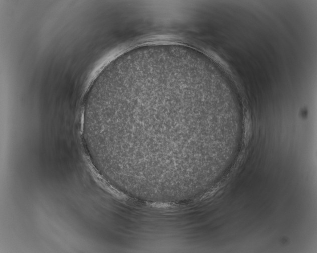 X0000115261413200912111129