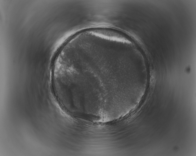 X0000115261414200912111129