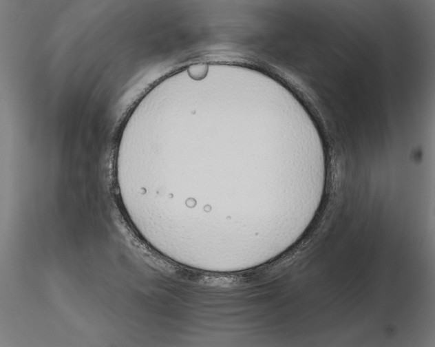 X0000115261415200912111129