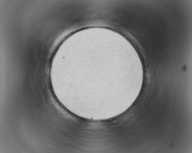 X0000115261416200912111129