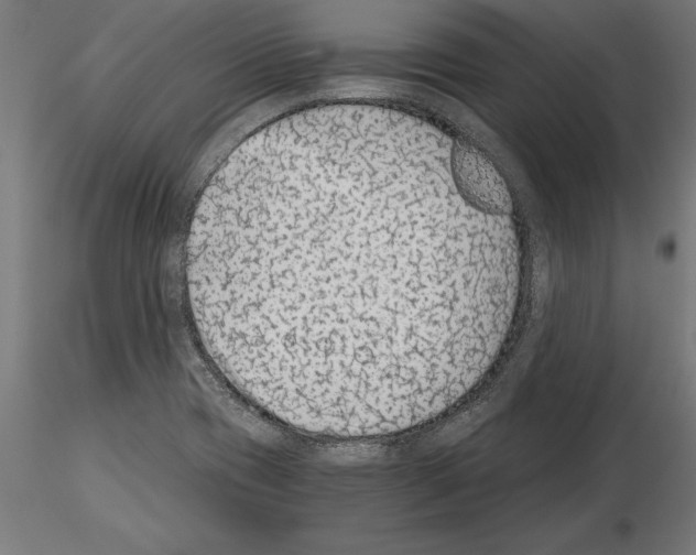 X0000115261417200912111129