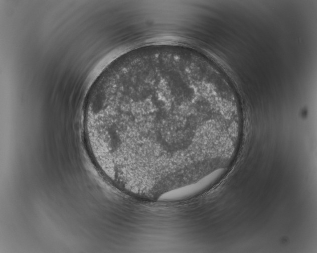 X0000115261418200912111129