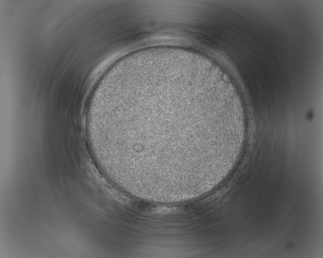 X0000115261419200912111129