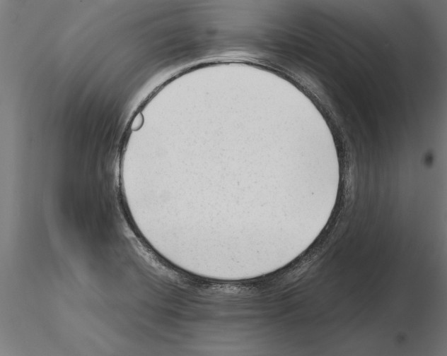 X0000115261420200912111130