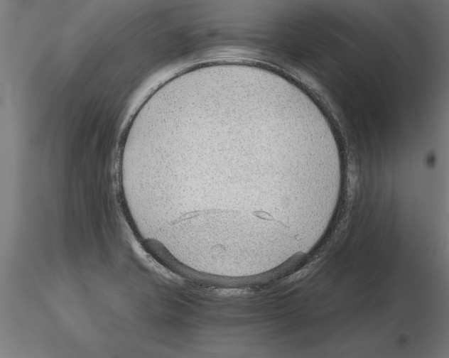 X0000115261421200912111130