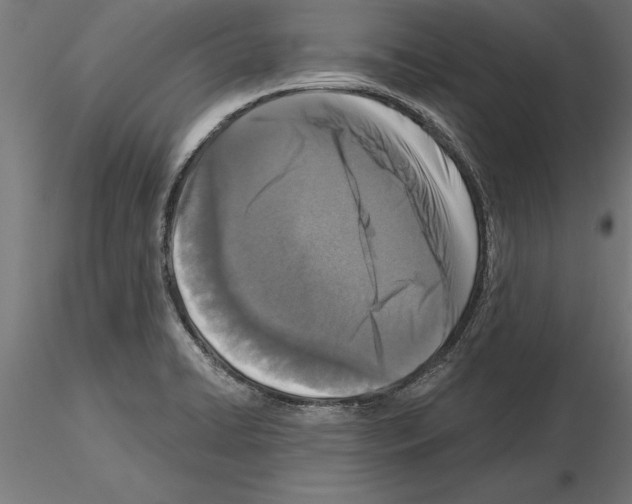 X0000115261422200912111130