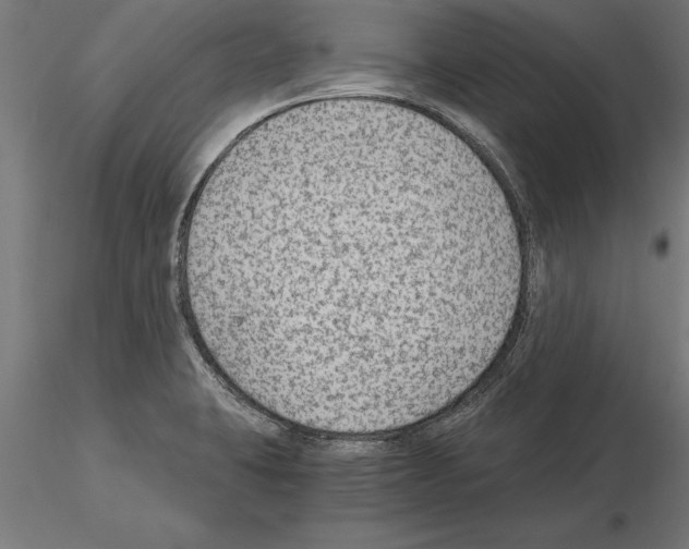 X0000115261423200912111130