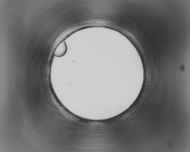 X0000115261424200912111130