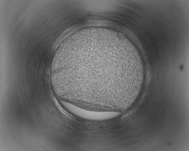 X0000115261425200912111130