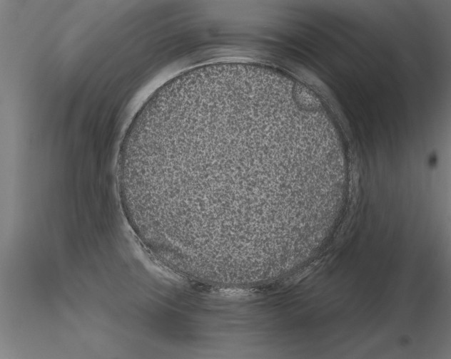 X0000115261427200912111130