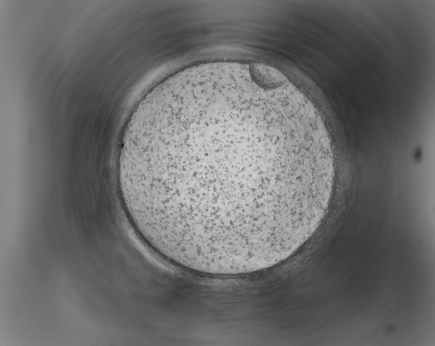 X0000115261429200912111130