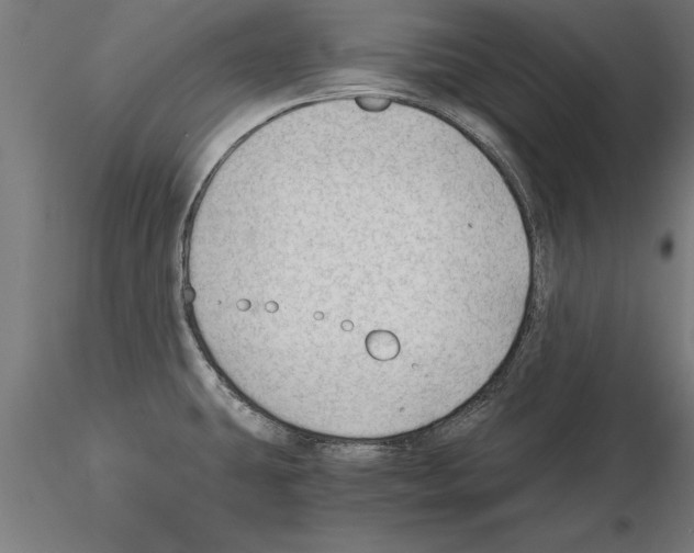 X0000115261431200912111130