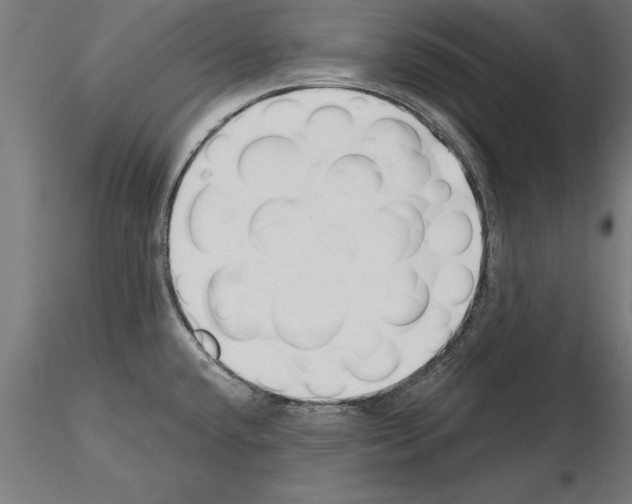 X0000115261432200912111130