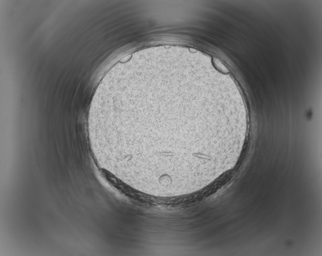 X0000115261433200912111130