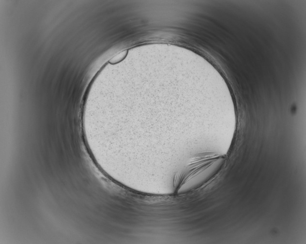 X0000115261434200912111130